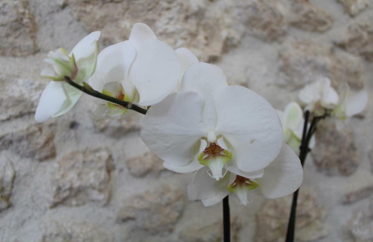 Casa San Giacomo Poggio Bustone Εξωτερικό φωτογραφία